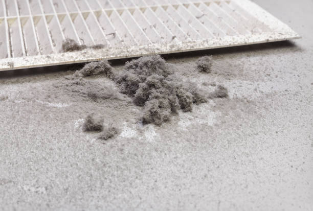 Best HVAC Air Duct Cleaning  in Homedale, ID