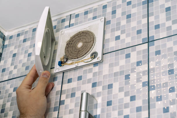 Best Air Duct Sanitizing Services  in Homedale, ID